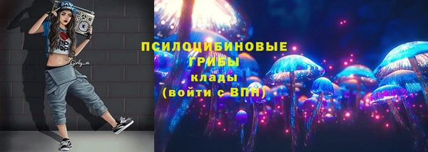 2c-b Богданович