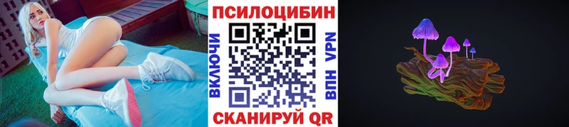 Псилоцибиновые грибы Psilocybe  Сызрань 